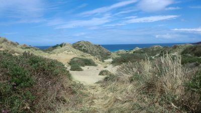A sandy little canyon behind the dunes, ocean and sky in the background.