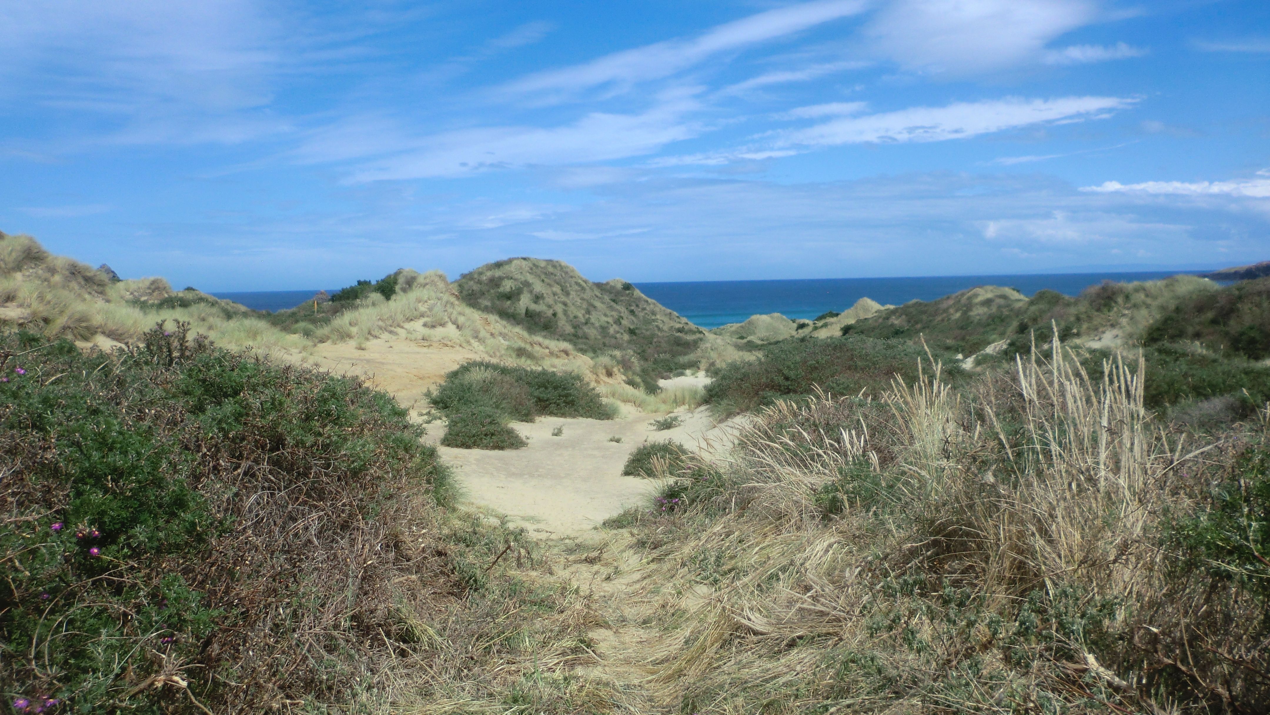 A sandy little canyon behind the dunes, ocean and sky in the background.