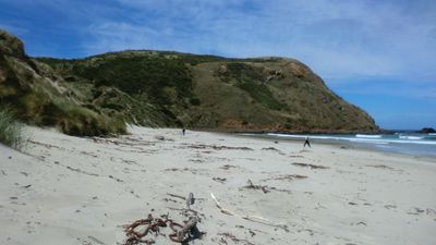A beach scene, with two people on foot and three seals (two visible, one hidden at the edge of the dunes).