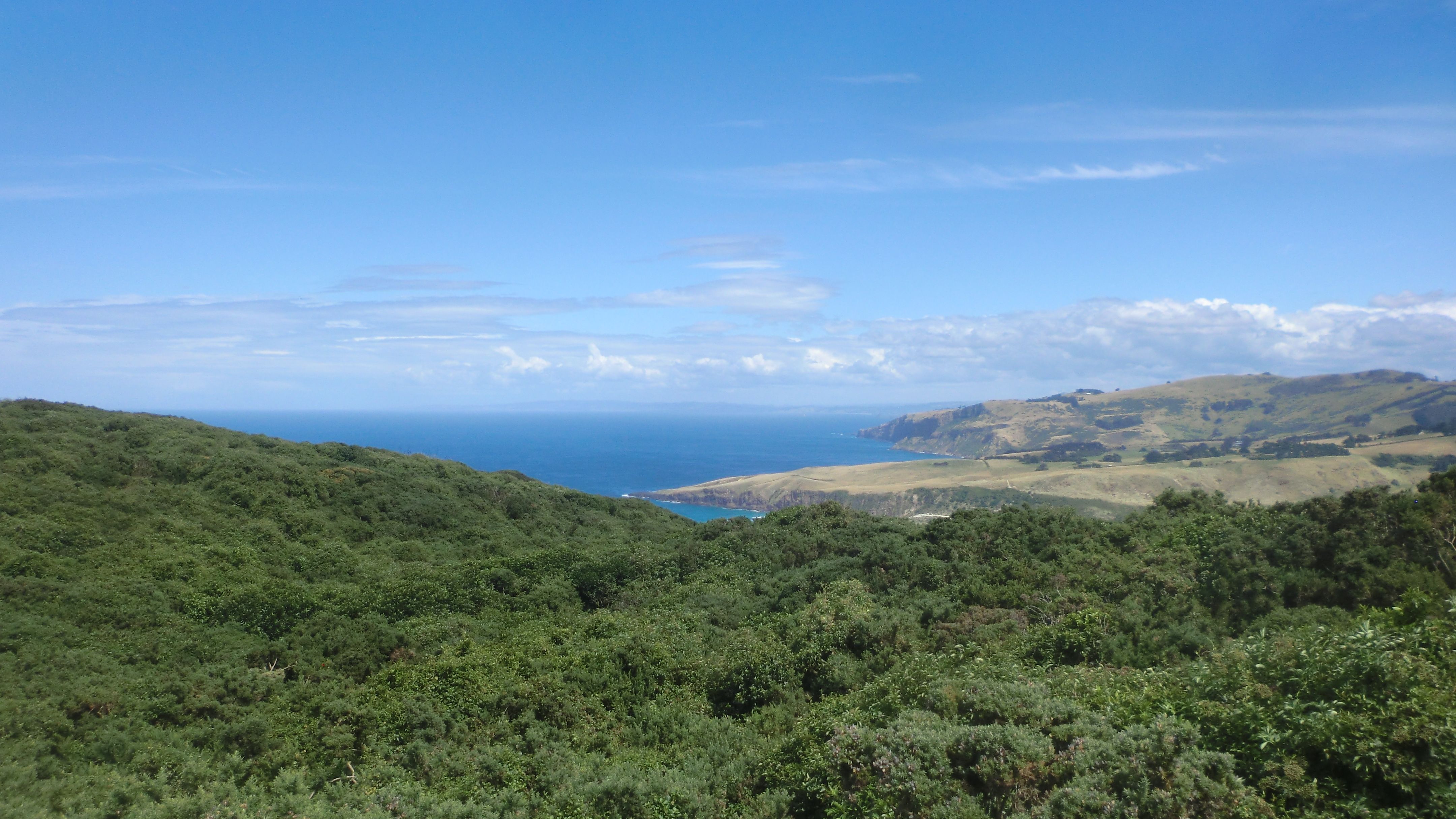 Photo - clear blue sky, low clouds in the distance, blue southern Pacific ocean, dry coastal pasture along the peninsula, and darker green trees and scrub in the foreground.